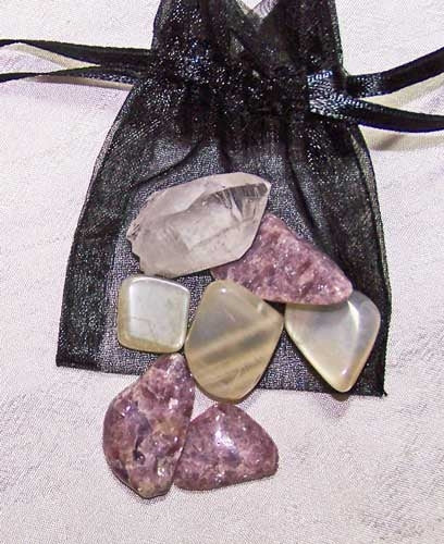 Pisces Medicine Pouch