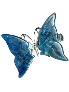 Blue Apatite Halo Butterfly Clips