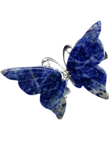 Sodalite Halo Butterfly clips