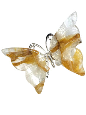 Golden Healer Halo Butterfly clips