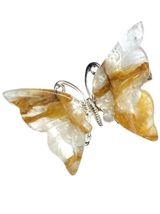 Golden Healer Halo Butterfly clips