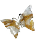 Golden Healer Butterfly Hair Clip