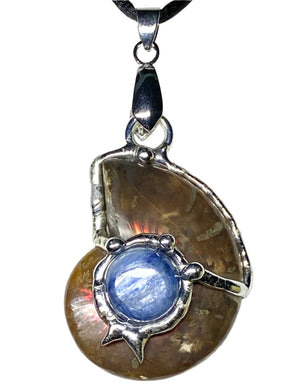 Cleanse Ammolite Fossil Pendant