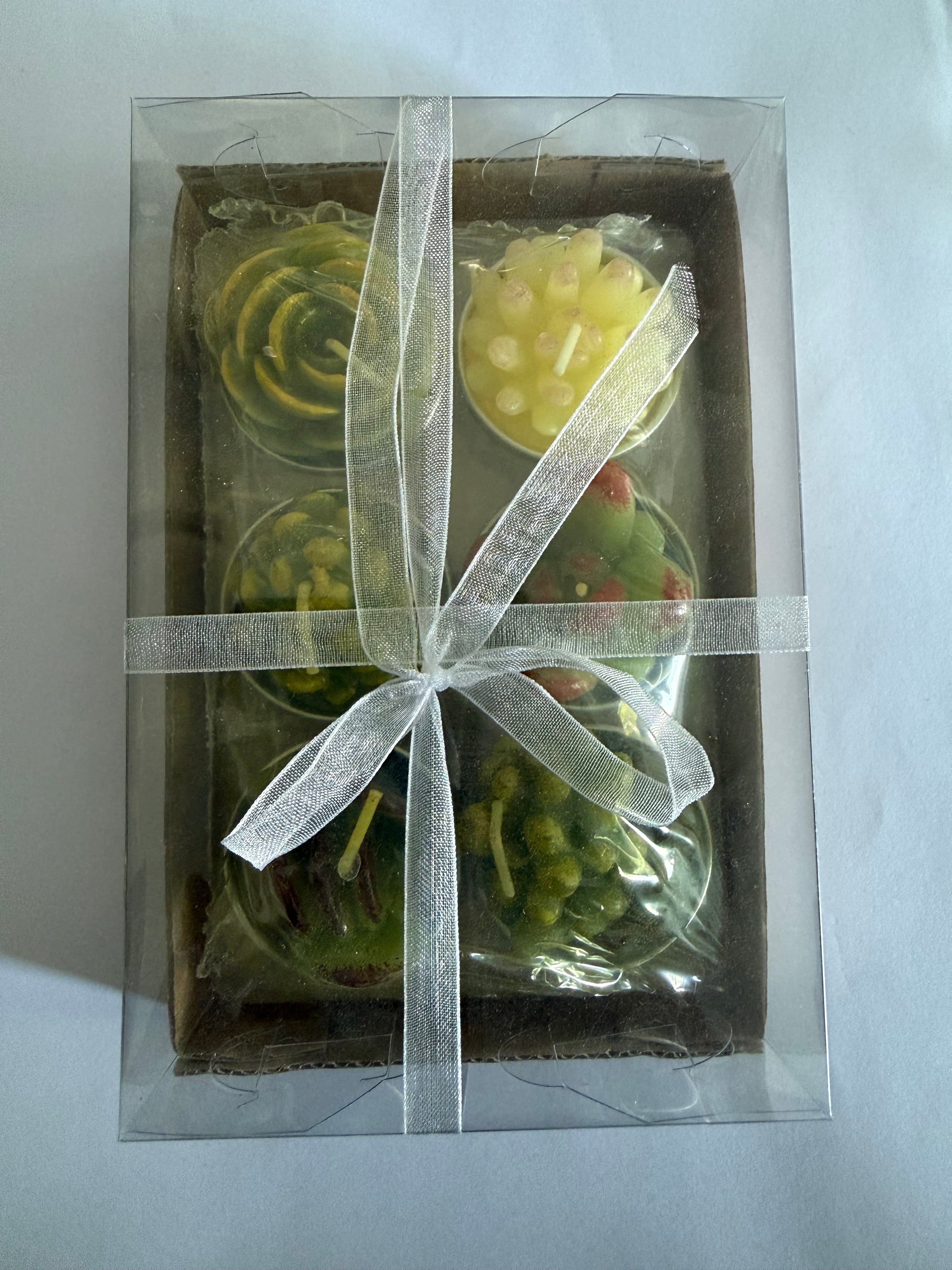 Cactus Candle Set