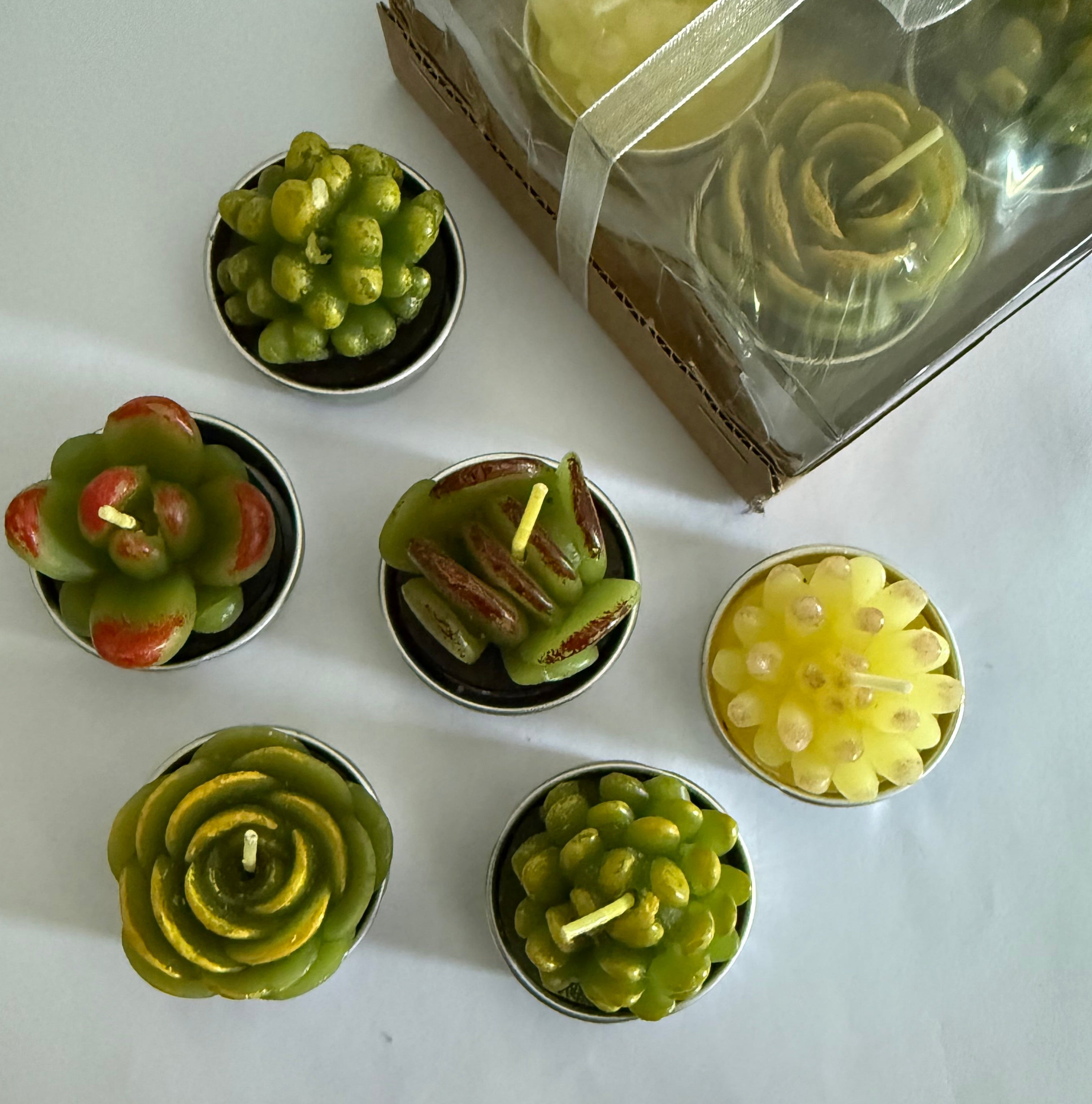 Cactus Candle Set