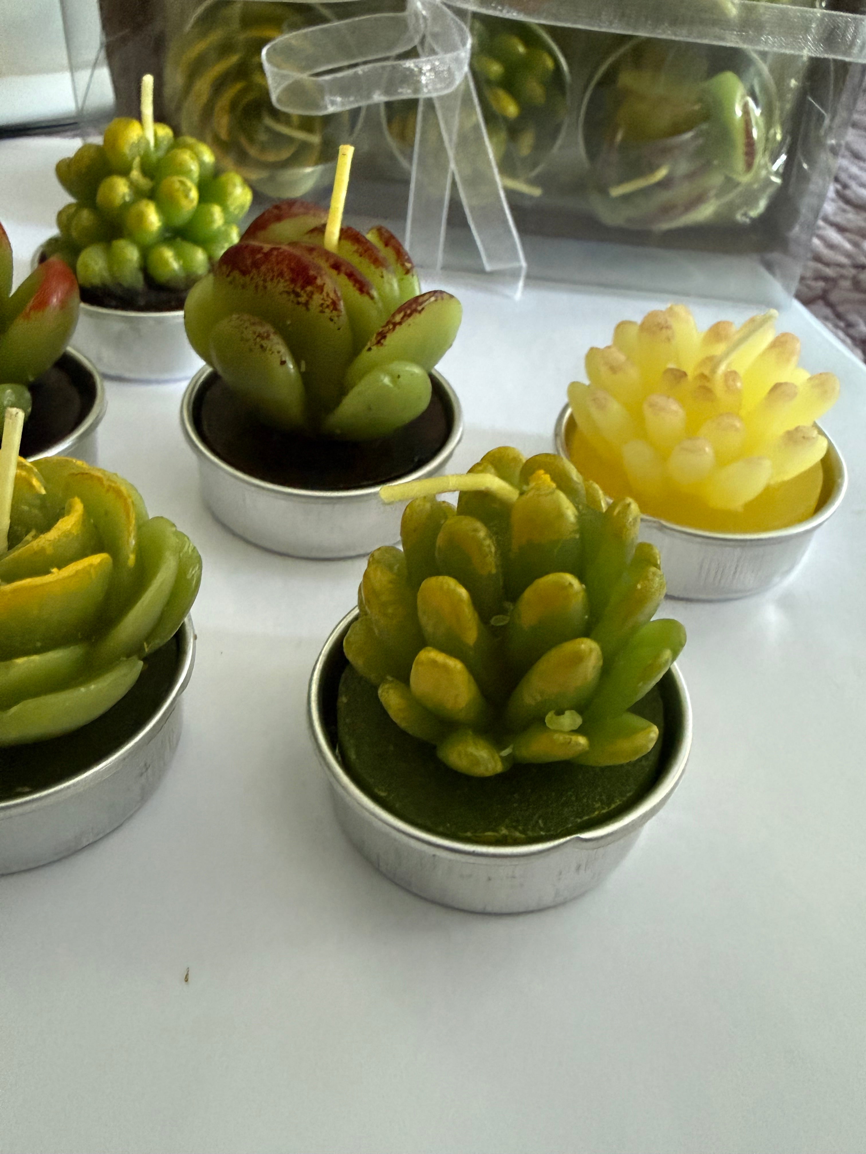 Cactus Candle Set