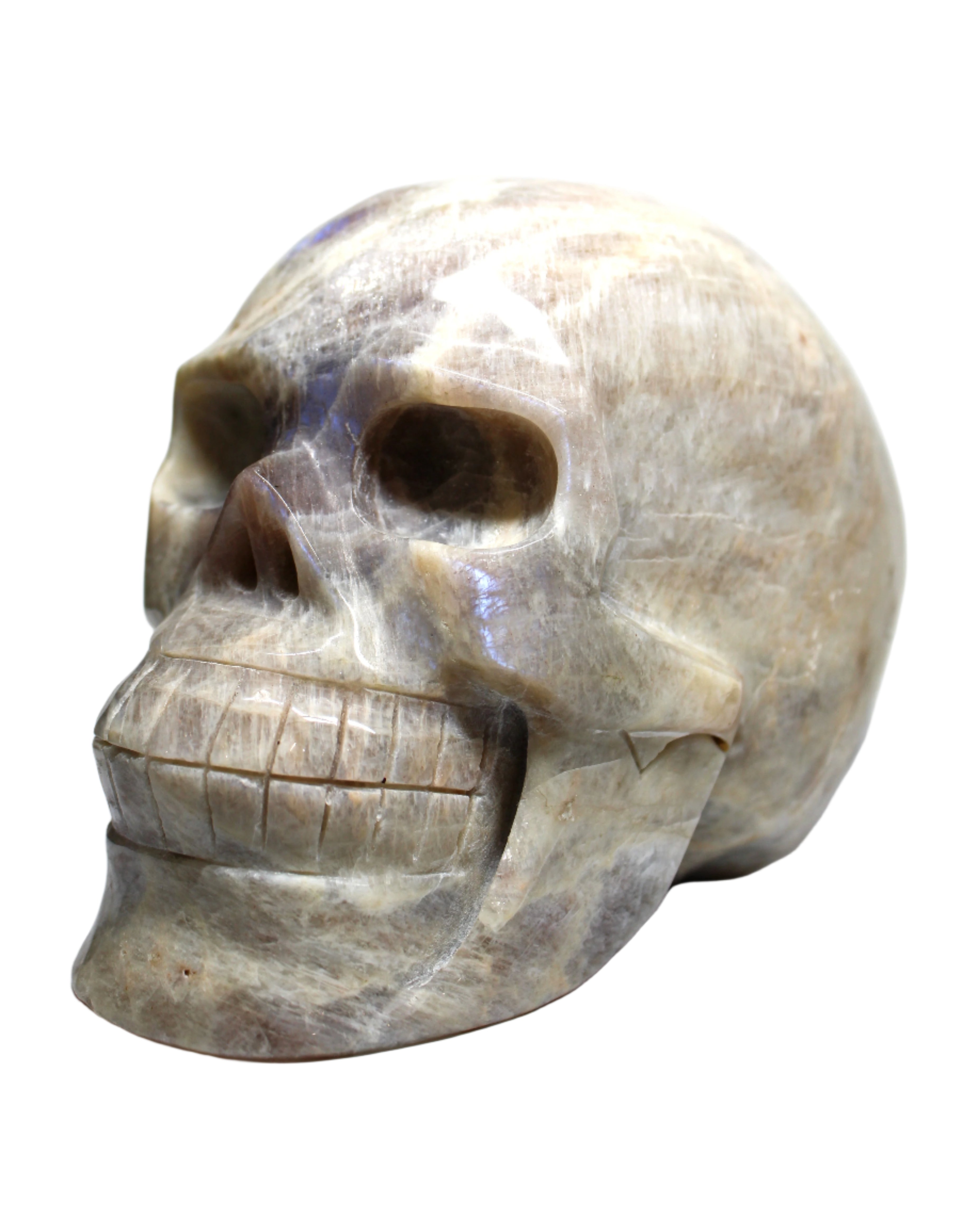 Moonstone Skull