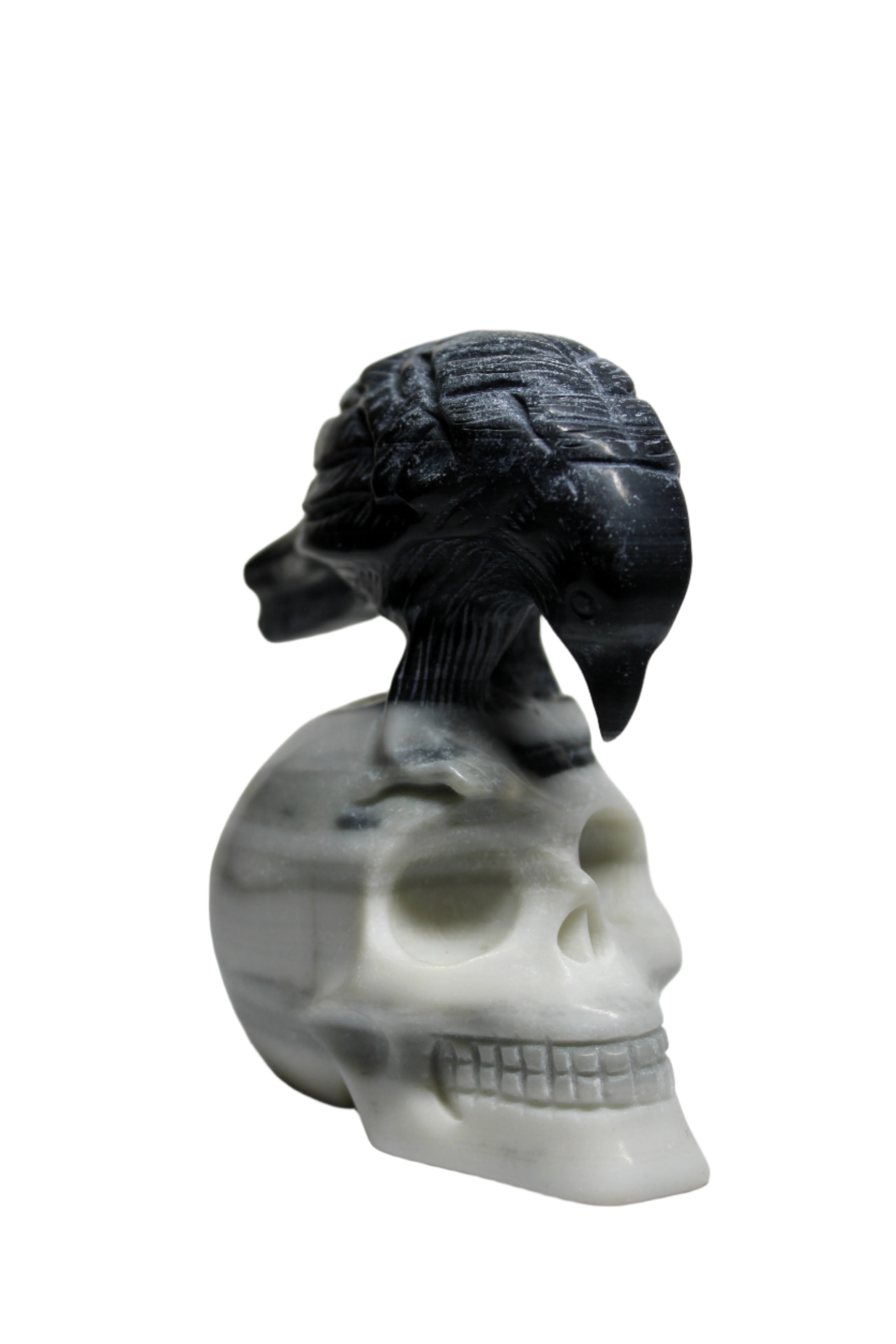Taiji Stone Raven Skull