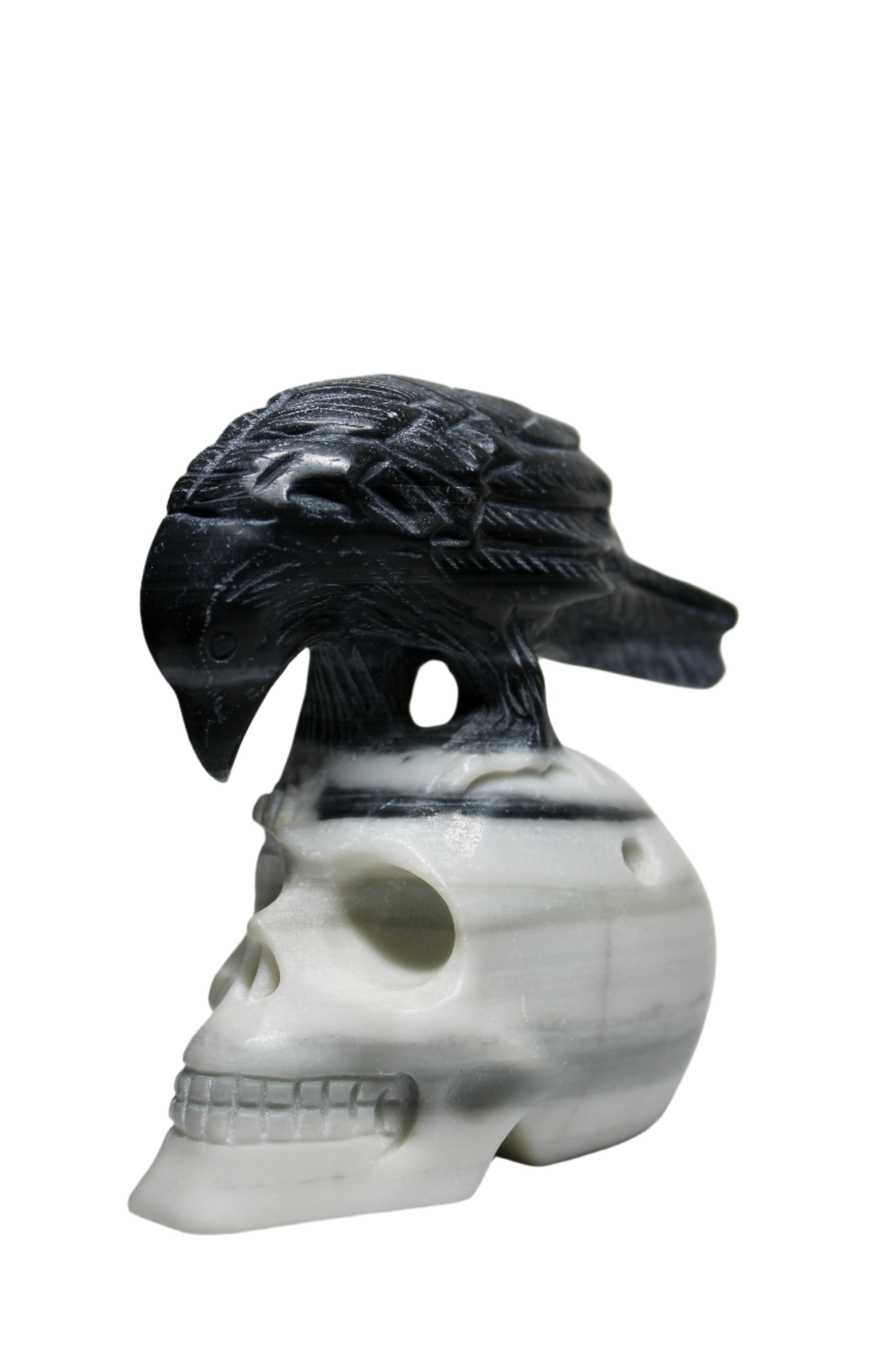 Taiji Stone Raven Skull