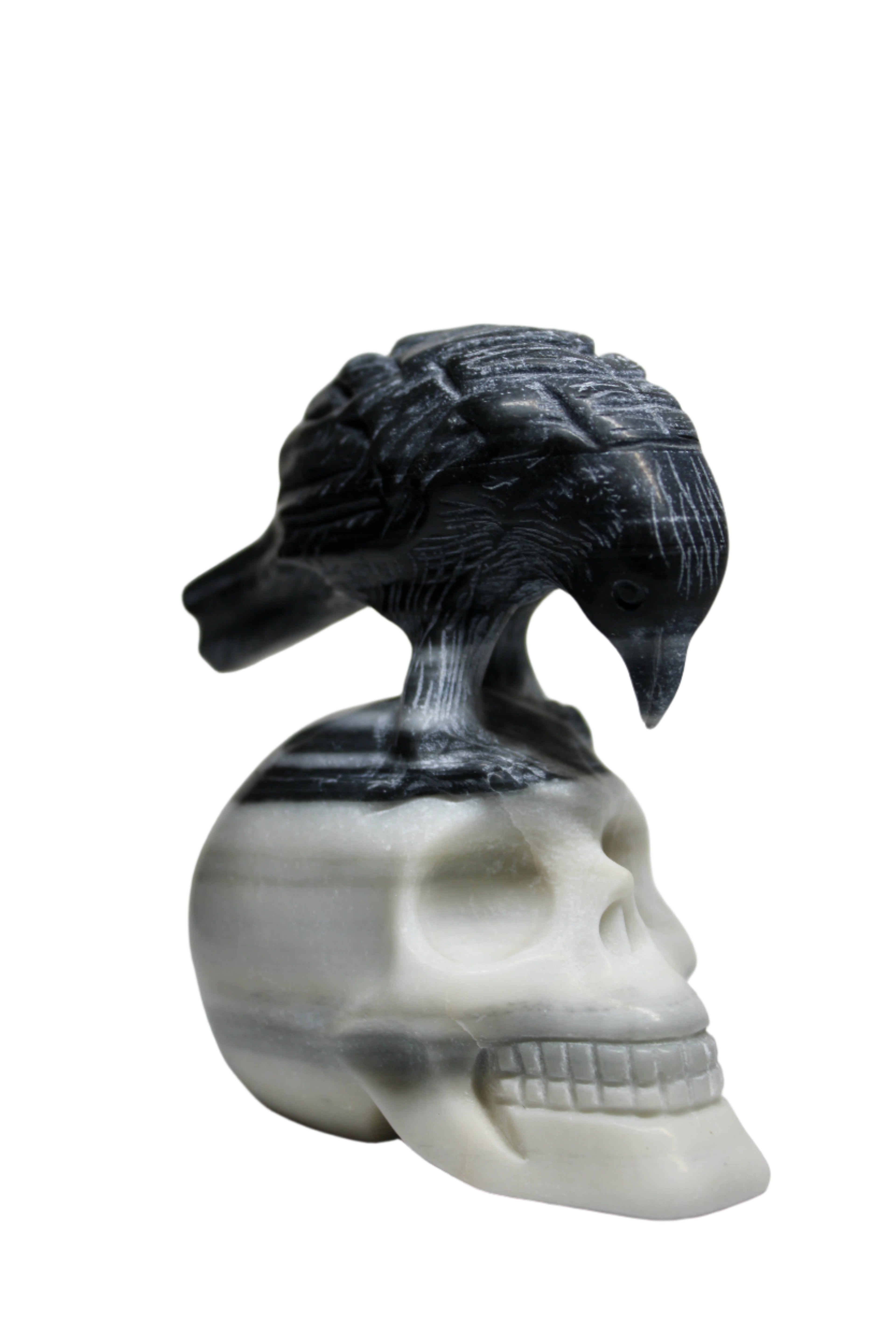 Taiji Stone Raven Skull