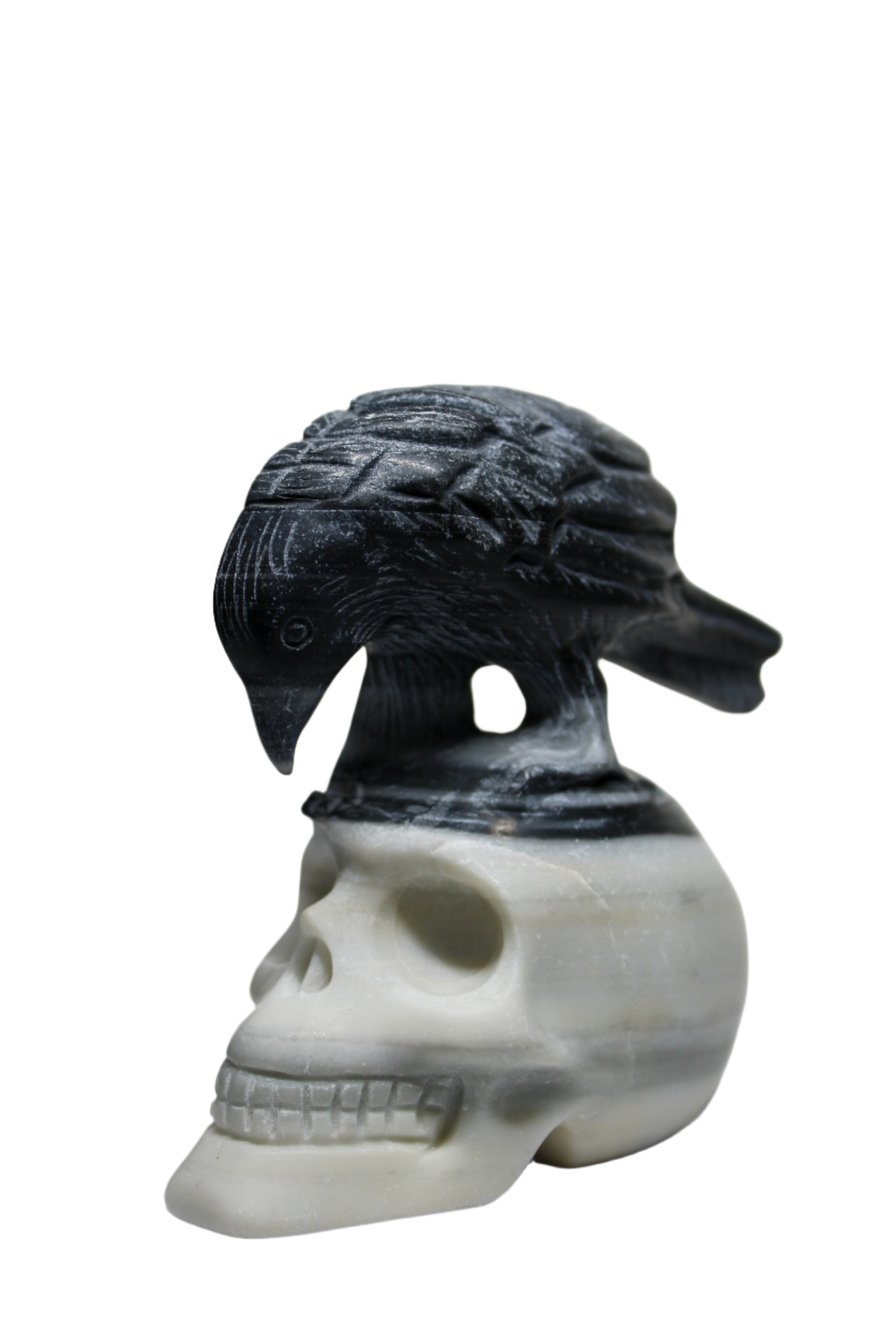 Taiji Stone Raven Skull