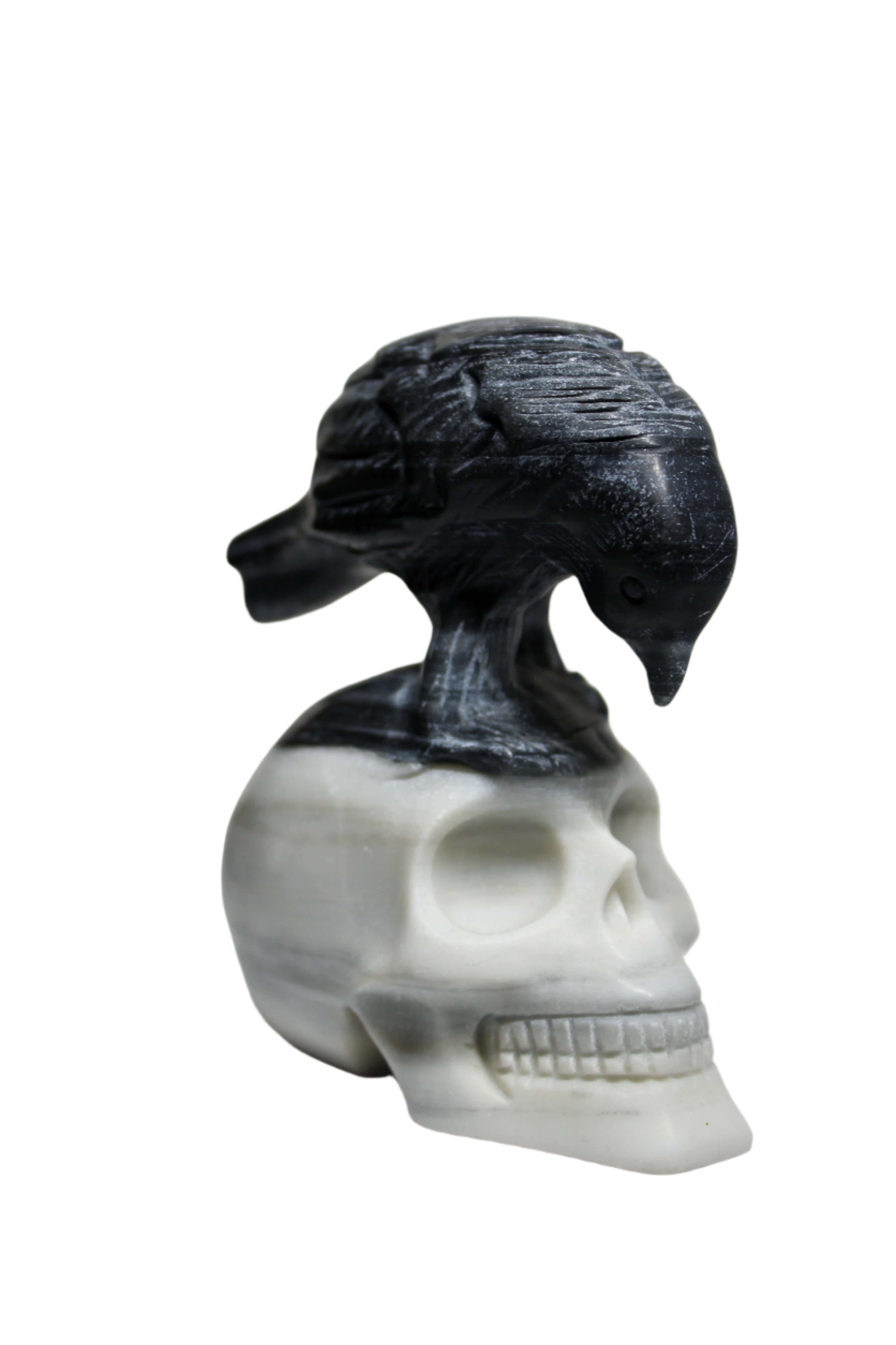 Taiji Stone Raven Skull