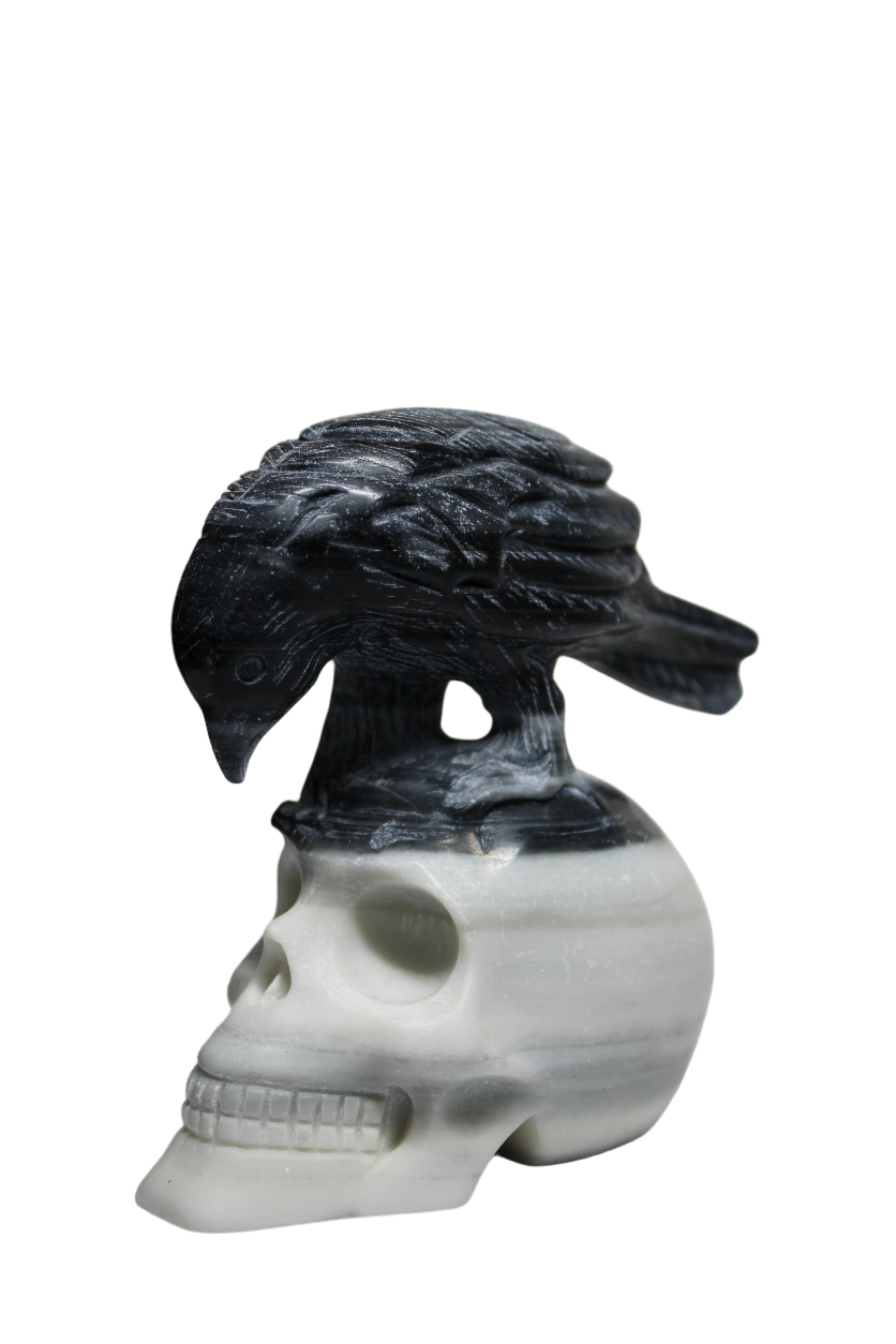 Taiji Stone Raven Skull
