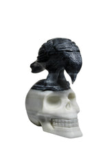 Taiji Stone Raven Skull