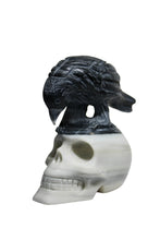 Taiji Stone Raven Skull