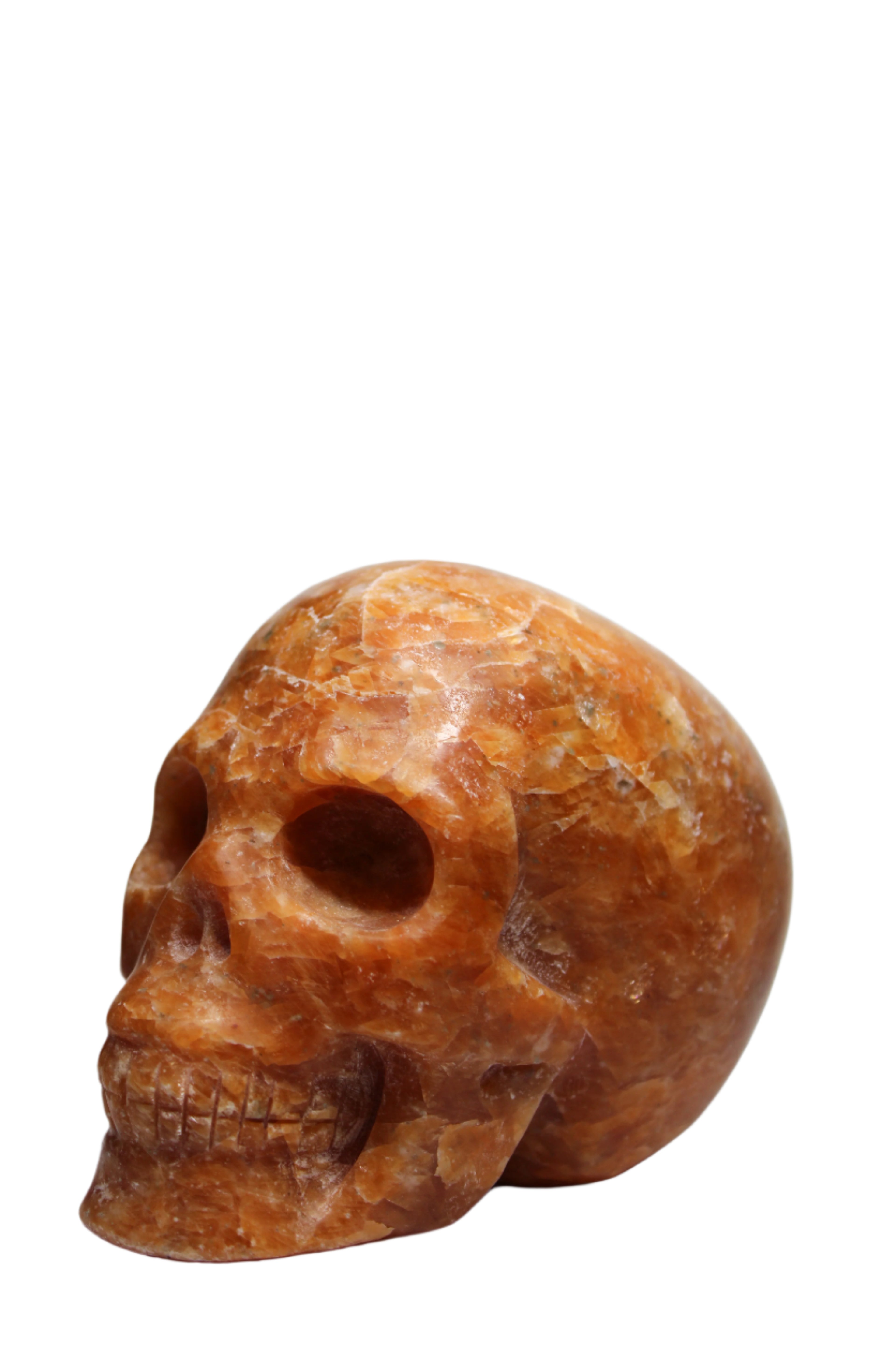 Sunstone Skull