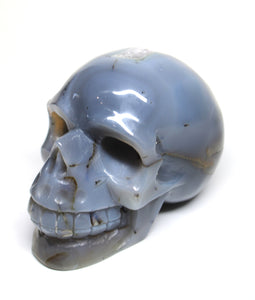 Agate Geode Skull