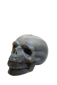 Agate Geode Skull