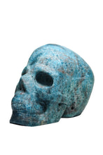 Blue Apatite Skull