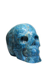 Blue Apatite Skull