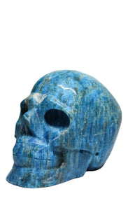 Blue Apatite Skull