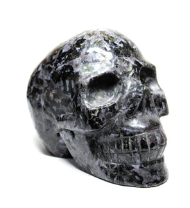 Gabbro Skull