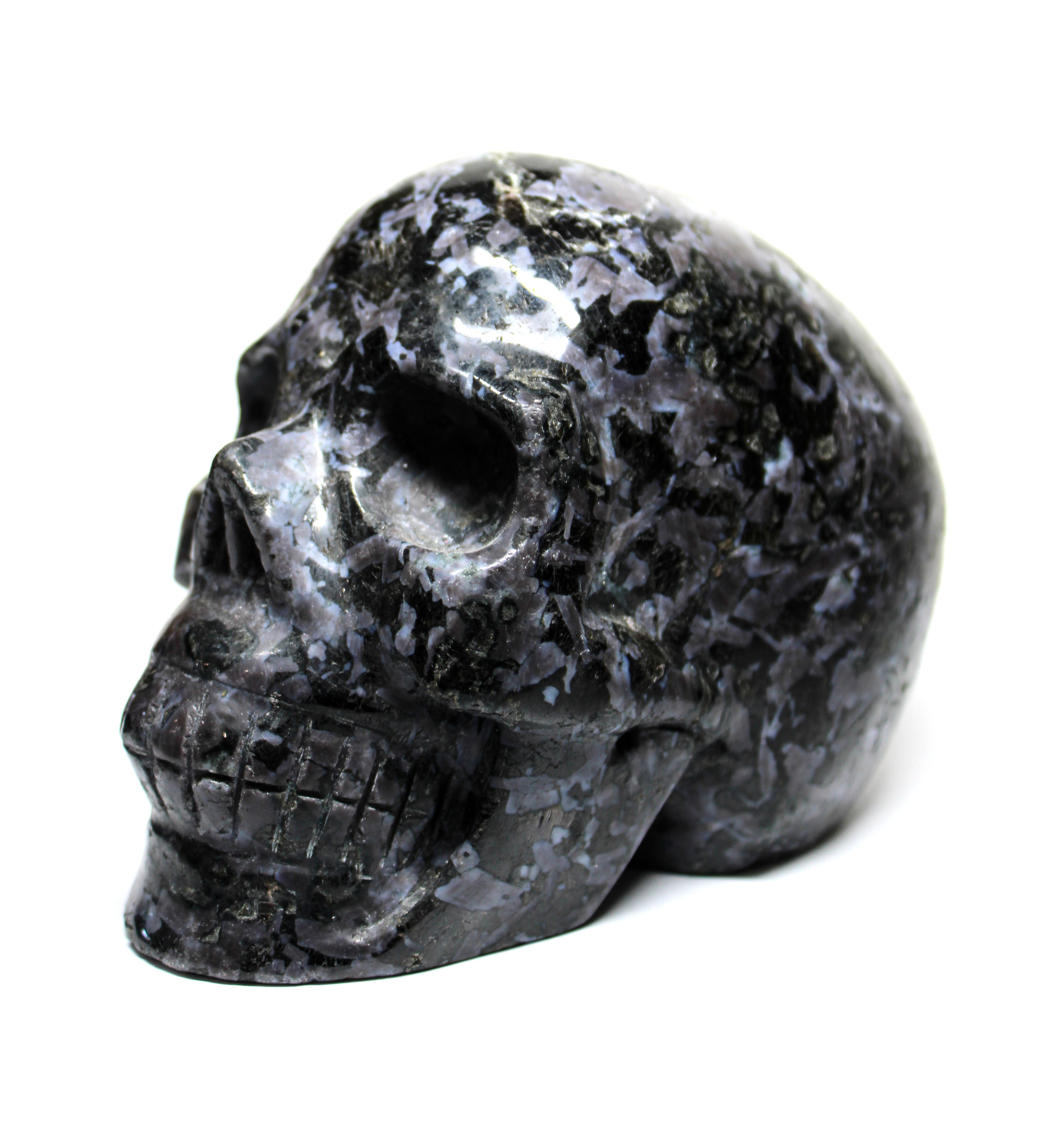 Gabbro Skull