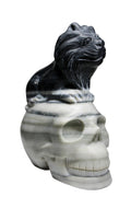 Taiji Lion on Skull