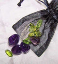 Rejuvinator Medicine Pouch