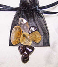 Leo Medicine Pouch